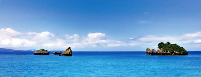 2510 フコイダン